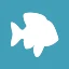 pof.com